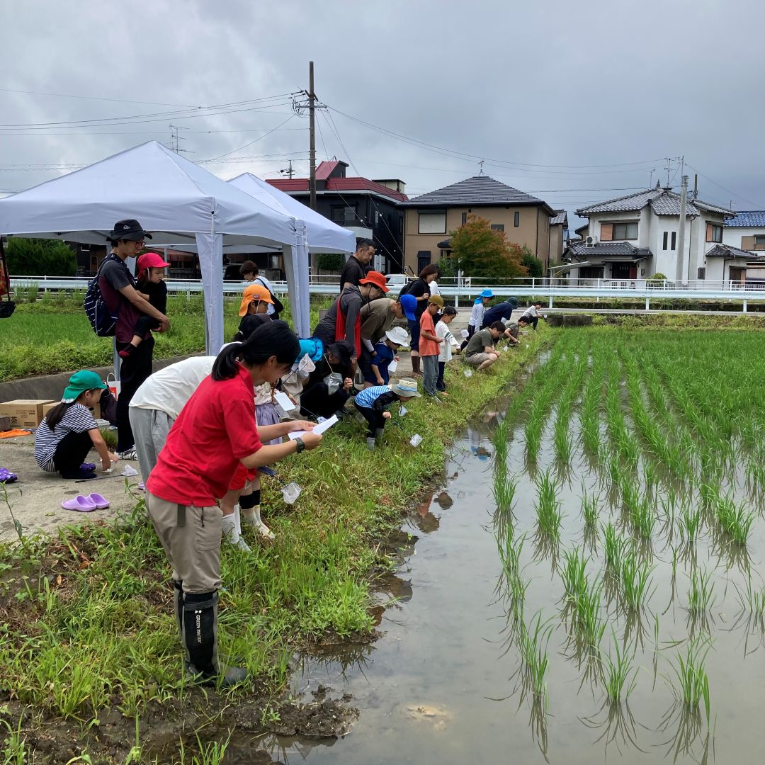 【ルビットパーク大口】田んぼの学校〜7月田んぼの生きもの調査〜_ez0gDv