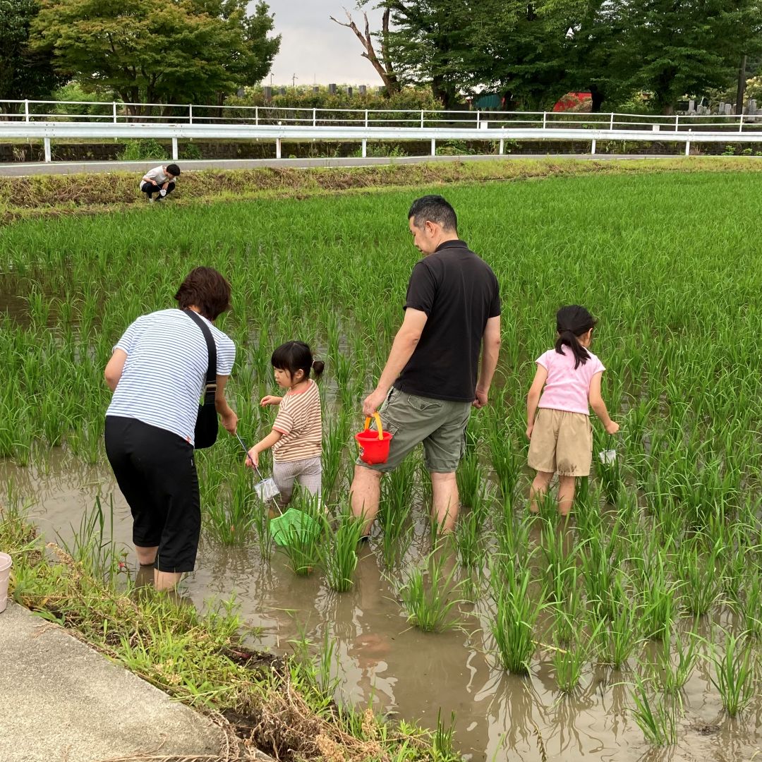 【ルビットパーク大口】田んぼの学校〜7月田んぼの生きもの調査〜_0IozFG