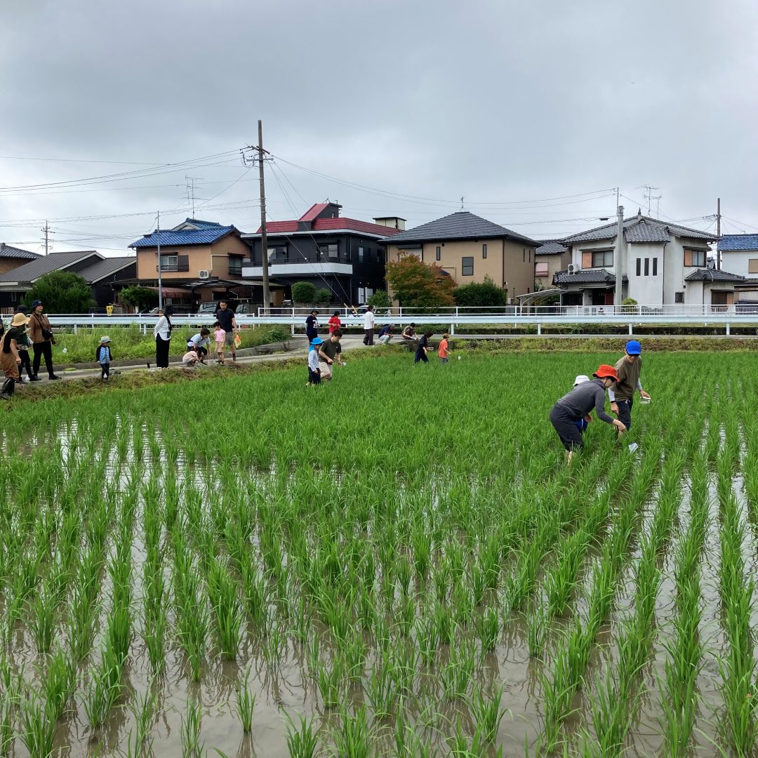 【ルビットパーク大口】田んぼの学校〜7月田んぼの生きもの調査〜_lvqP9c