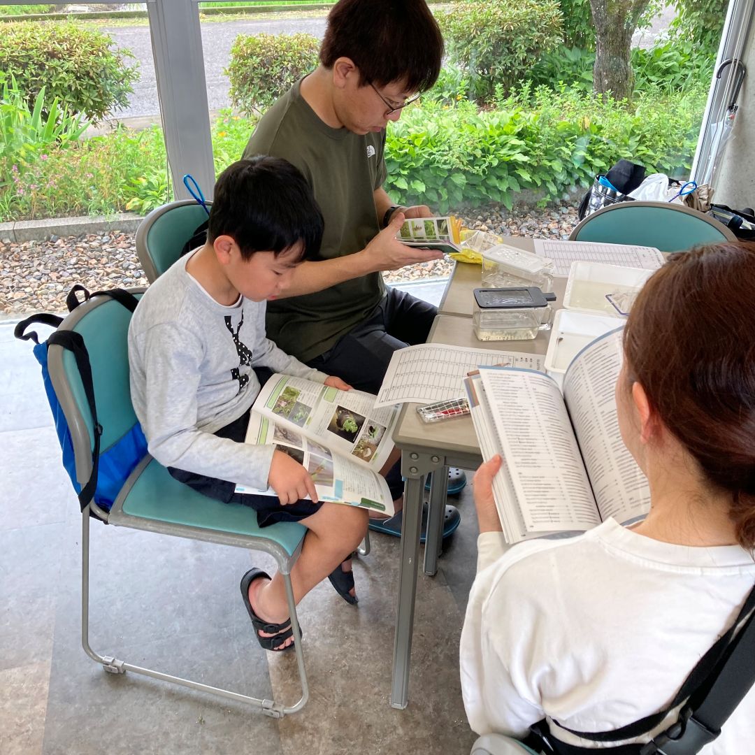 【ルビットパーク大口】田んぼの学校〜7月田んぼの生きもの調査〜_6qeUV0