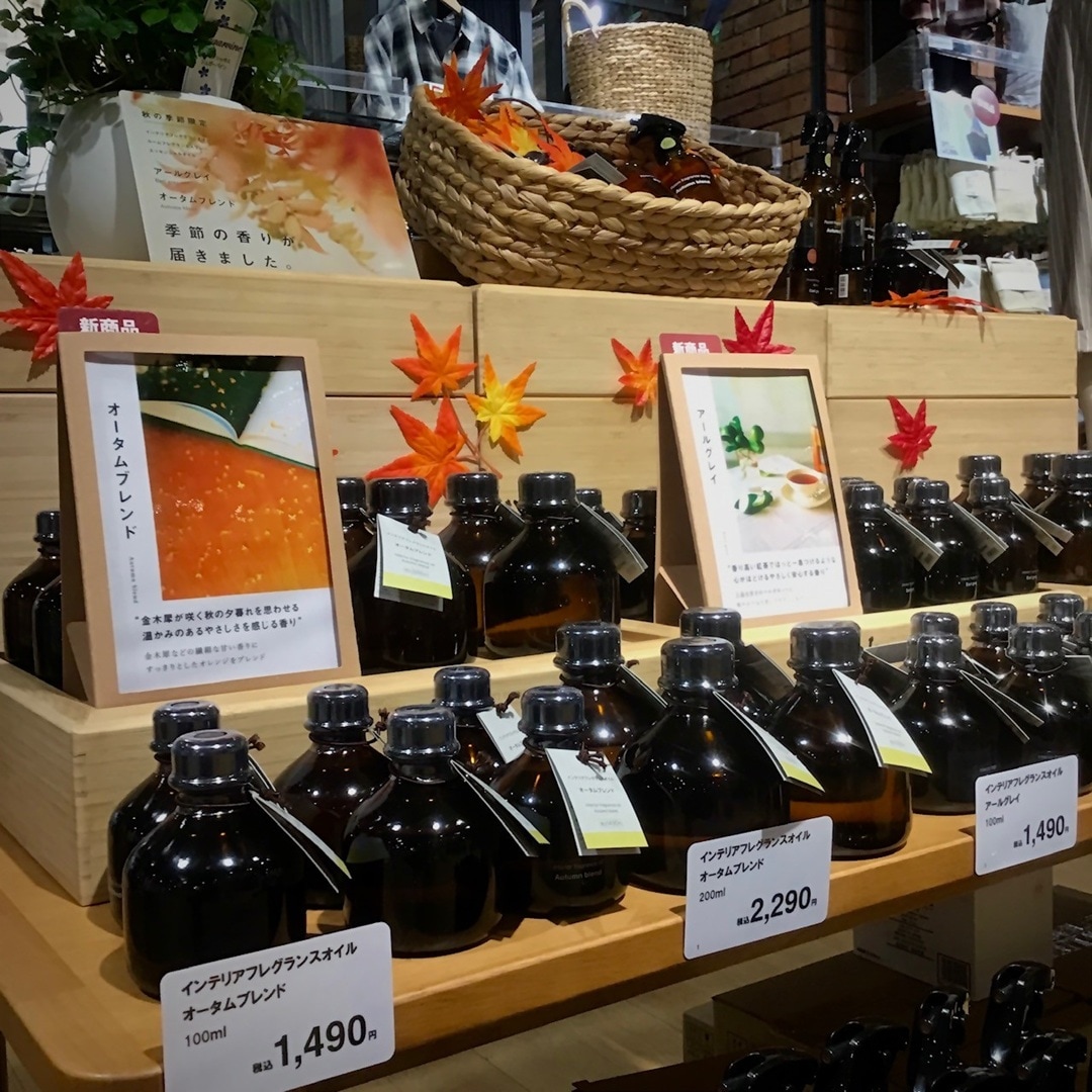 【COCOSA熊本下通】秋の気配_wU7W3J