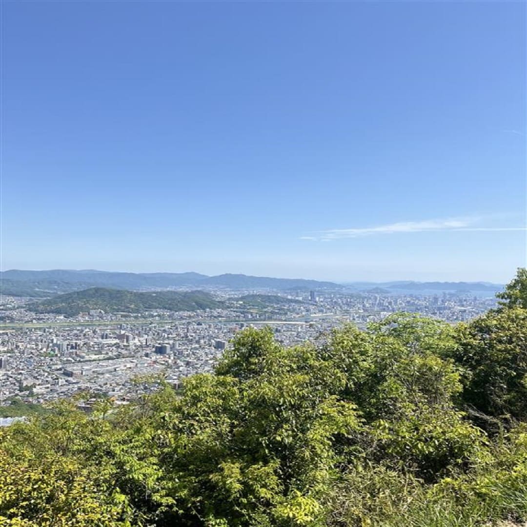 山7