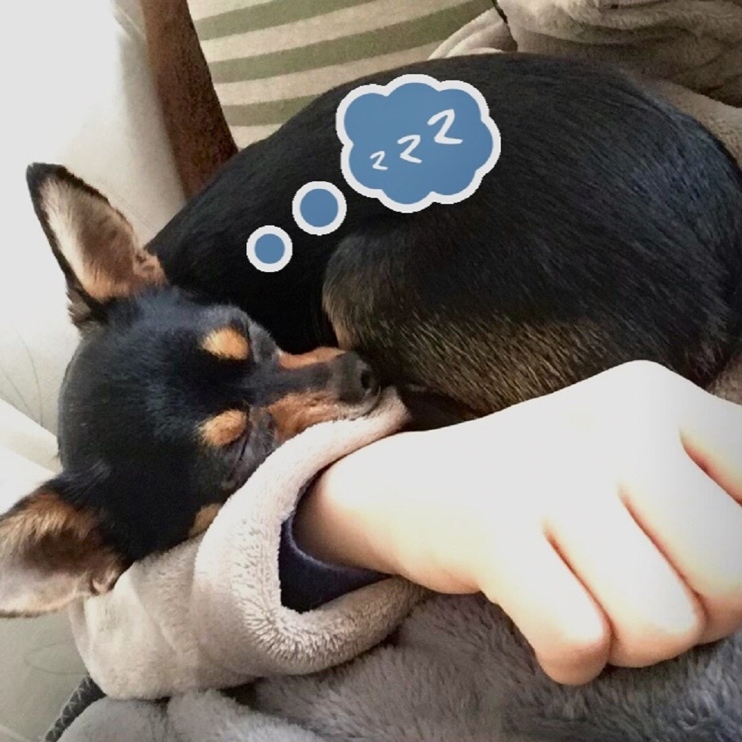 【東急プラザ戸塚】毛布を着れちゃう！？