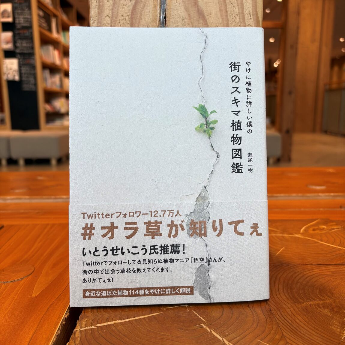 【ゆめタウン三豊】今月の1冊_pUA1Nn