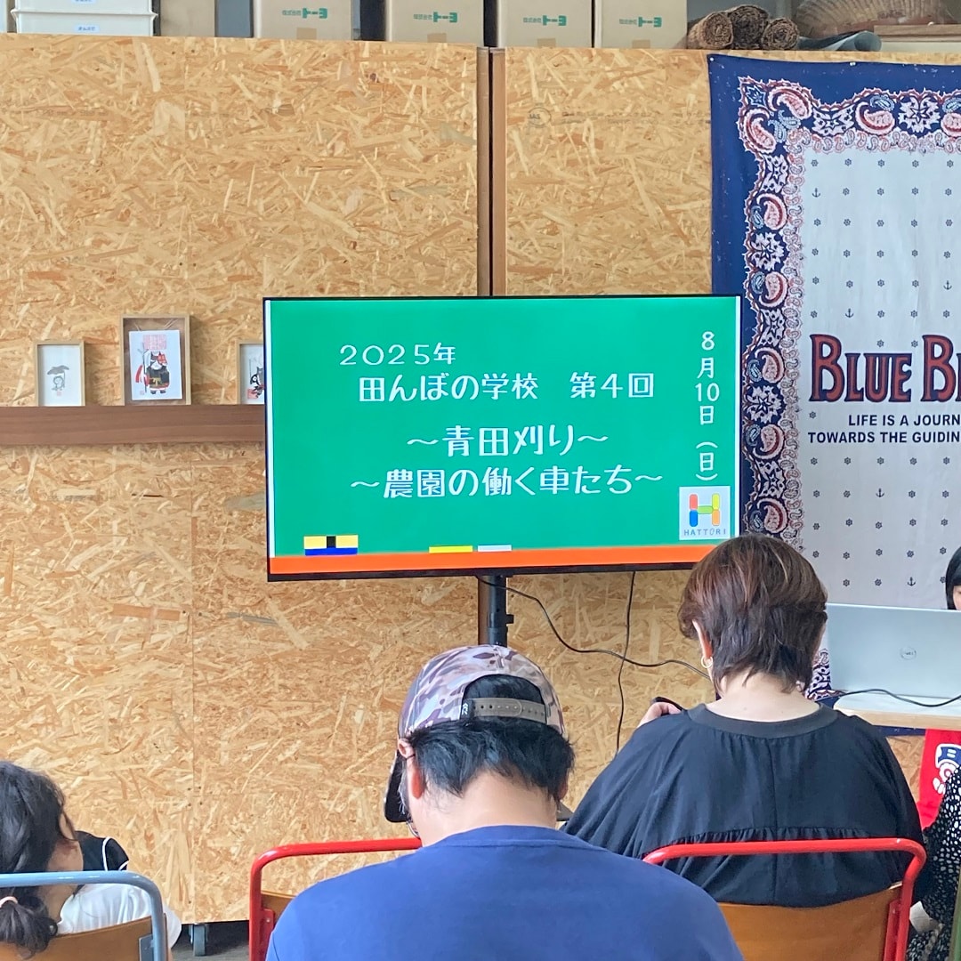 田んぼ8月⑤