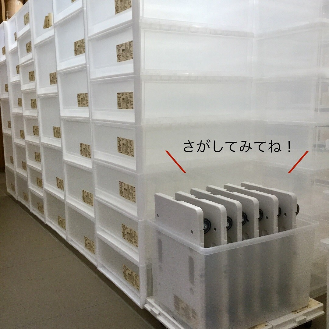【ららぽーとTOKYO-BAY】これ、なんだろう