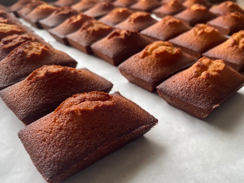 【シエスタハコダテ】第5回道南つながる市の出店者さまをご紹介します