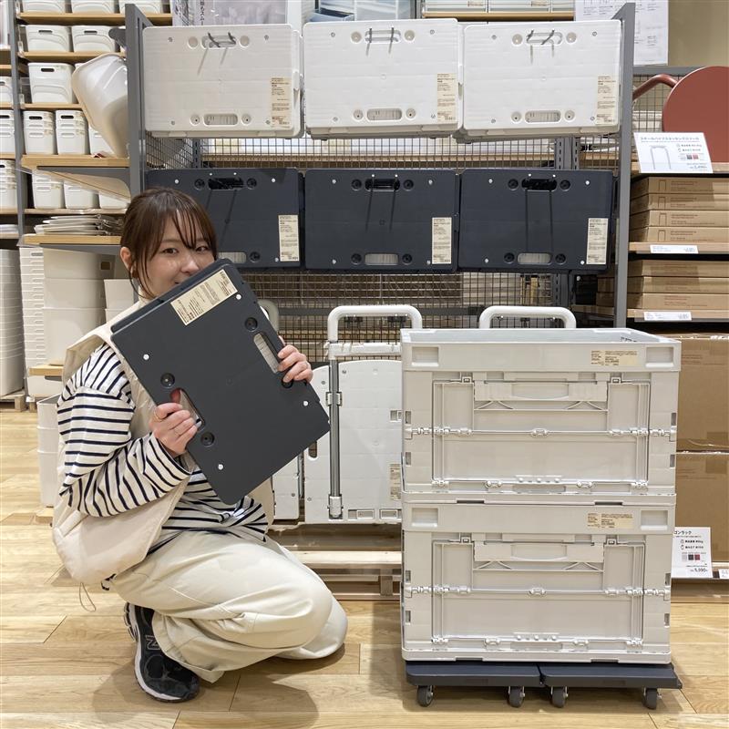 折りたたみコンテナ窓付