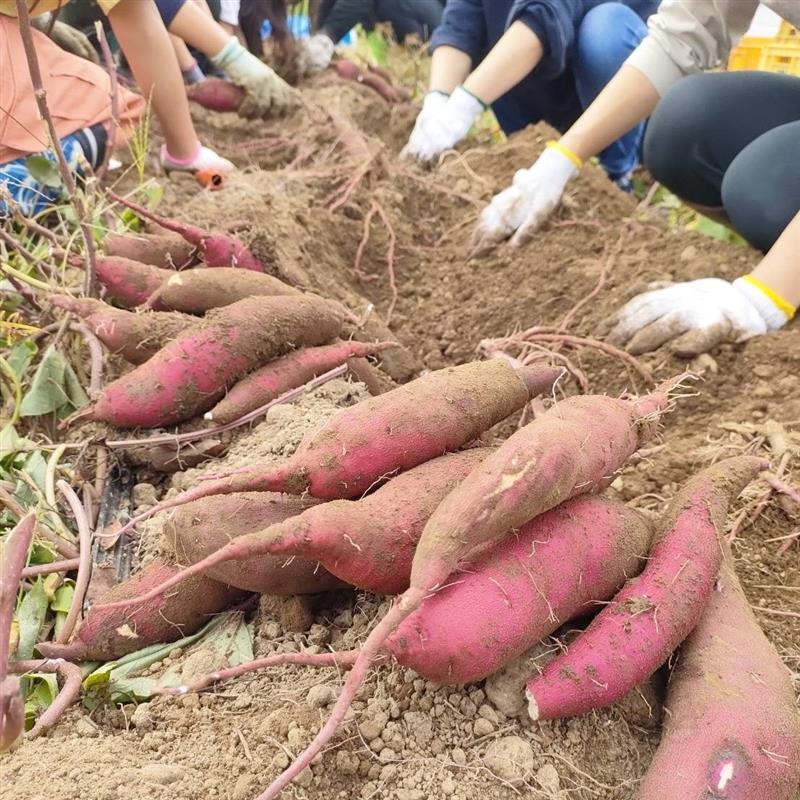 046870-20251206-99-03