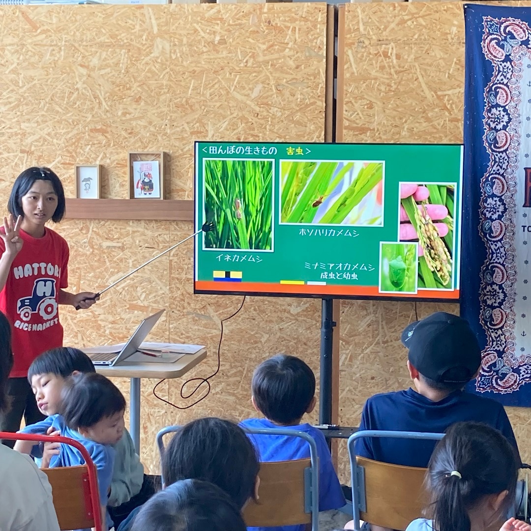 田んぼ9月⑩