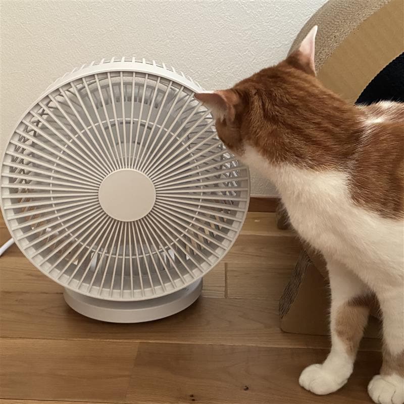 サーキュレーター