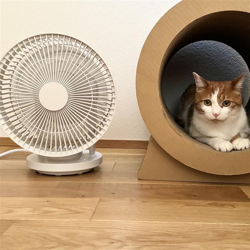 サーキュレーター