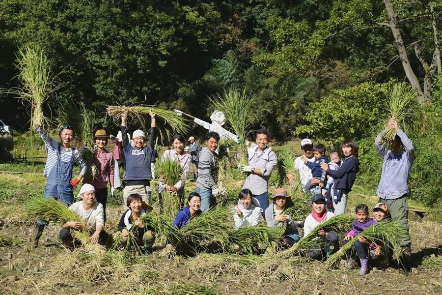 田植え