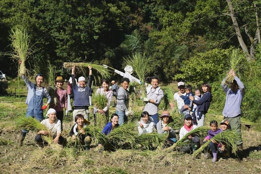 田植え