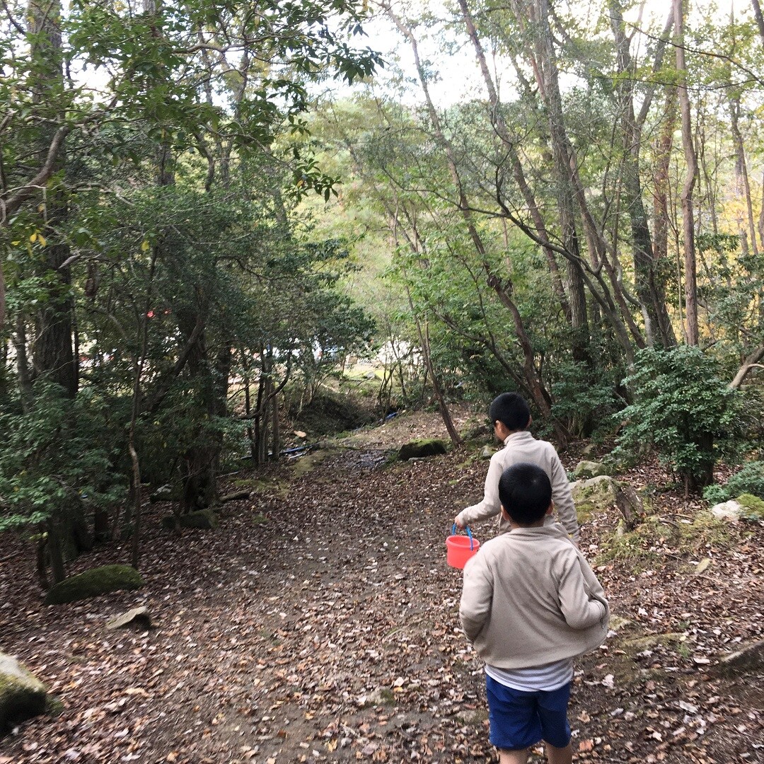 【ららぽーと甲子園】秋