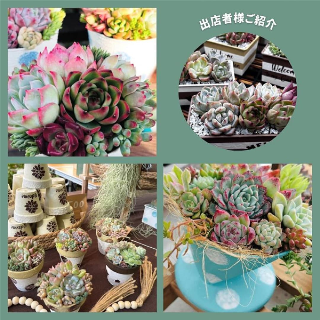 【沼田栄町】つながるマルシェ