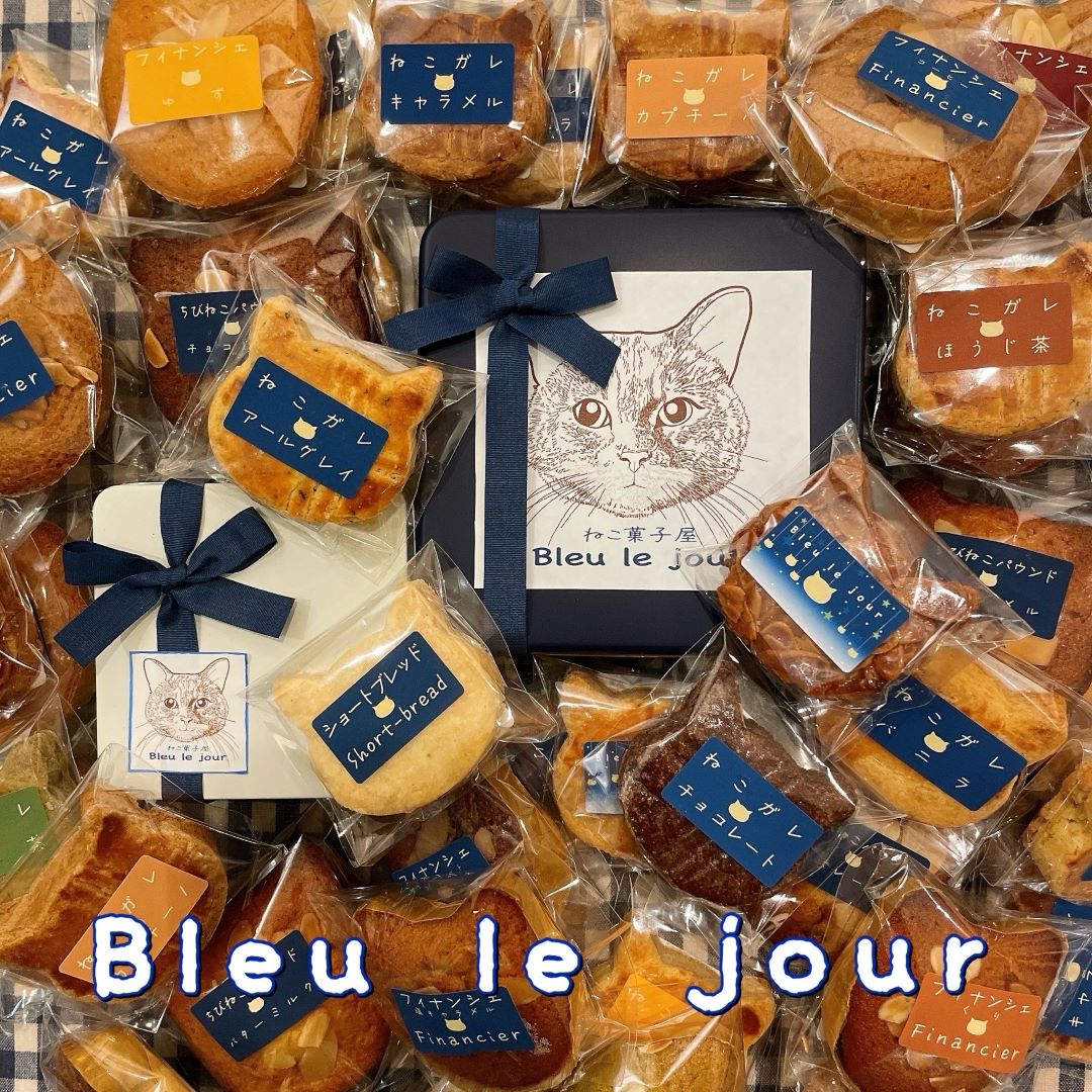 Bleulejour