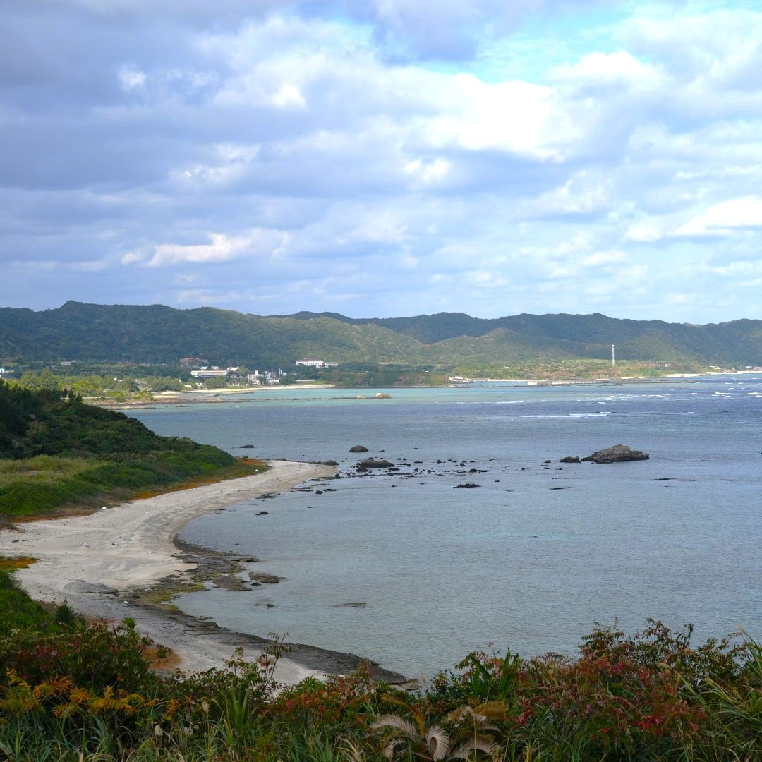 【銀座】奄美大島の果物　