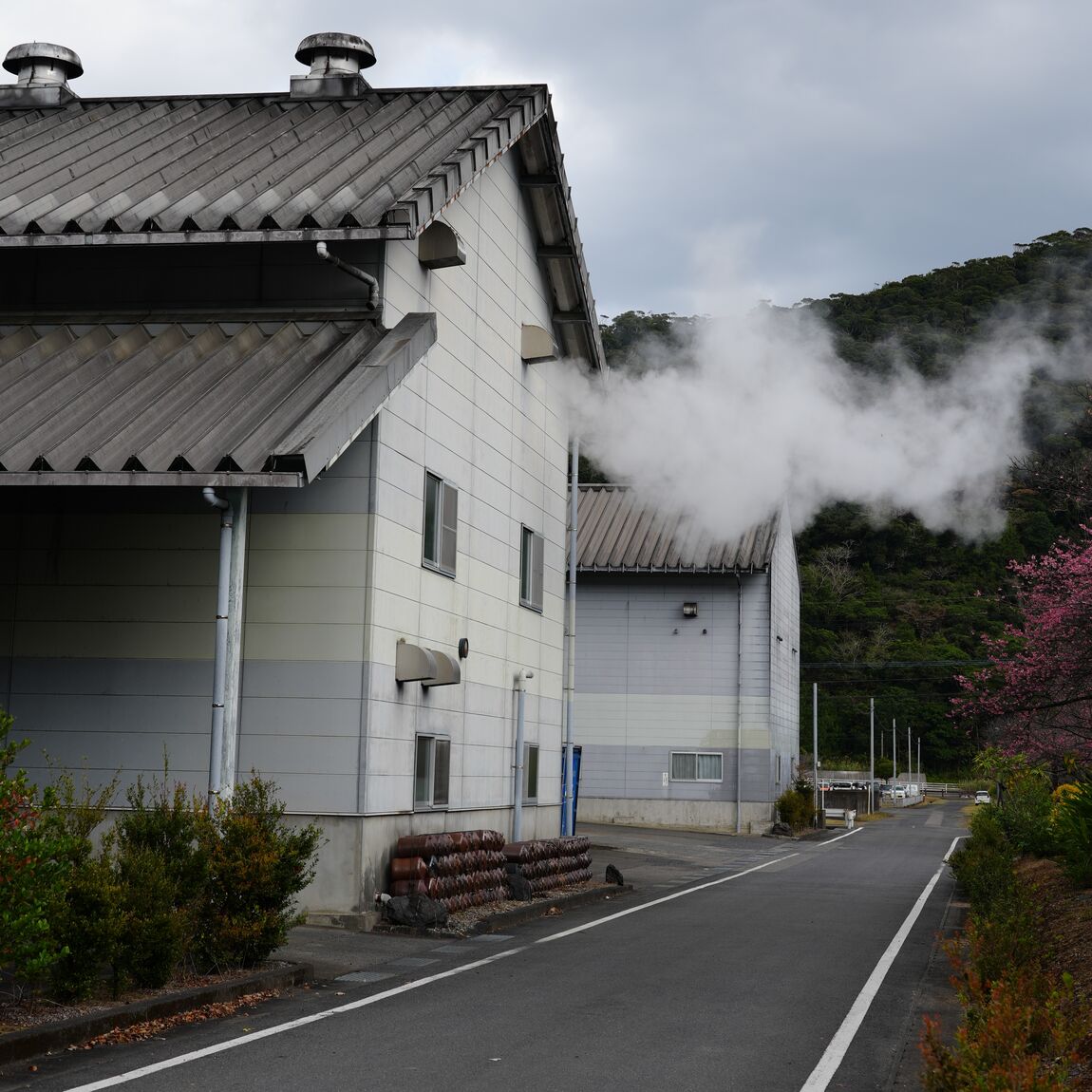 【銀座】奄美のお酒 黒糖焼酎
