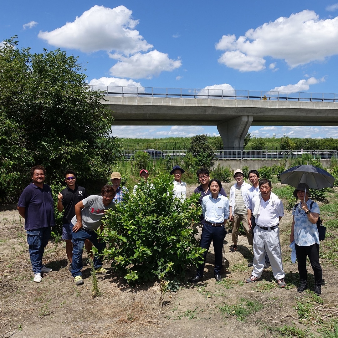 【京都山科】京都育ちの檸檬です。