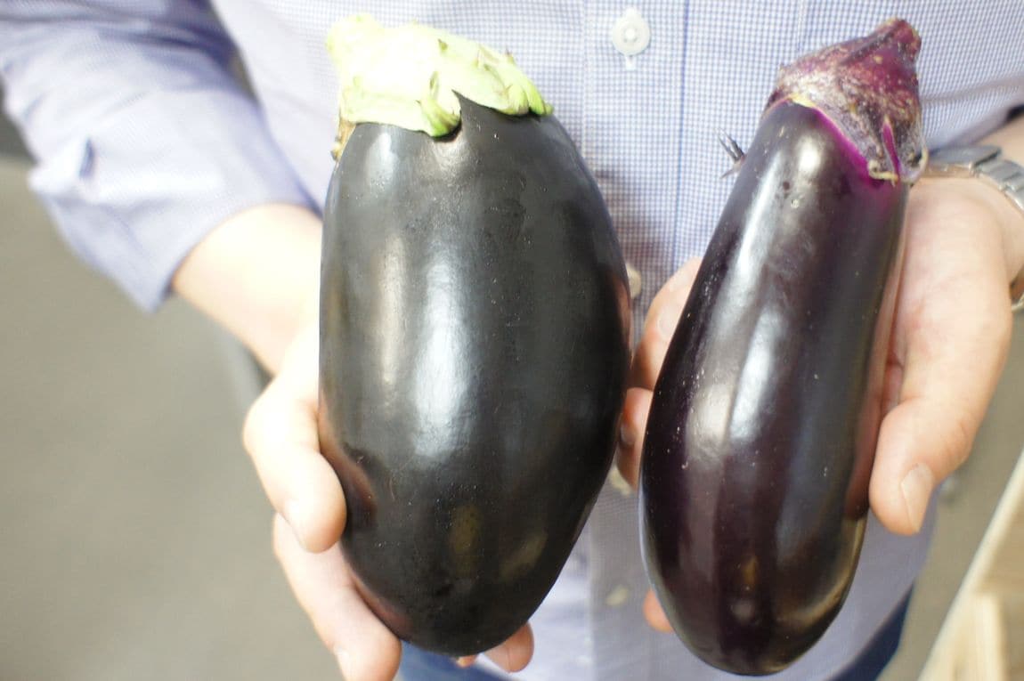 【堺北花田】 米茄子の肉味噌でんがく|そうざい売場から