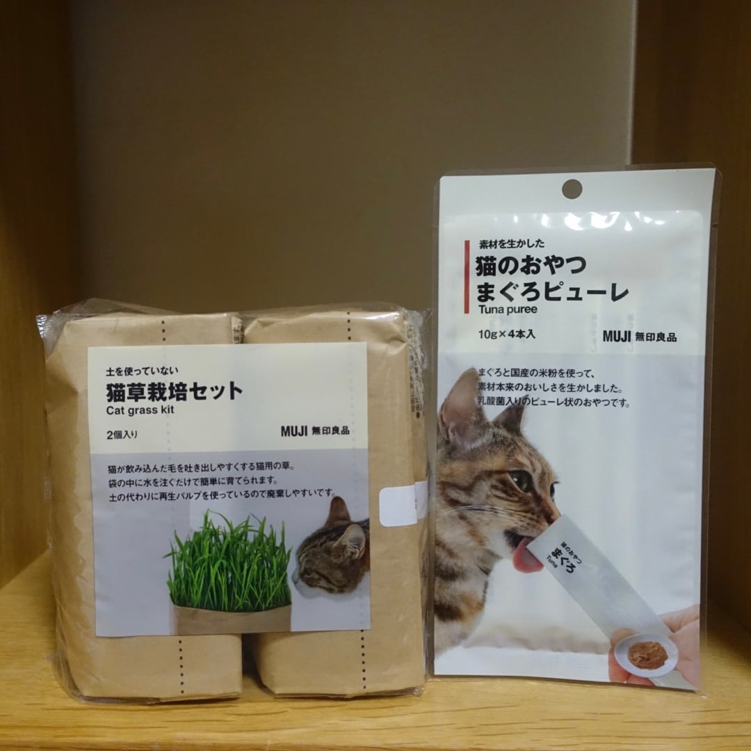【大丸福岡天神】愛猫におすすめの商品3選