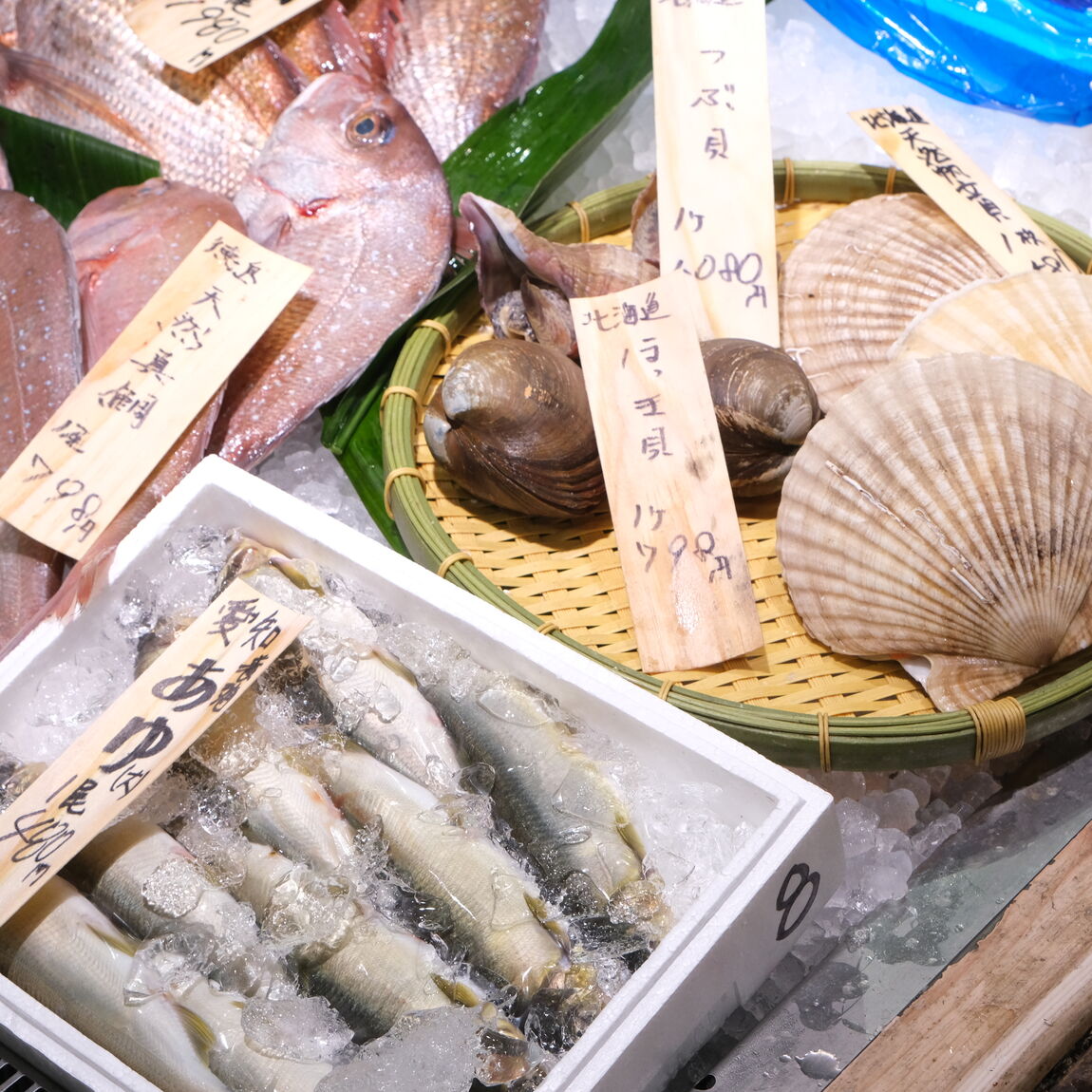 【堺北花田】今日のおすすめは『天然真鯛』｜鮮魚売場から