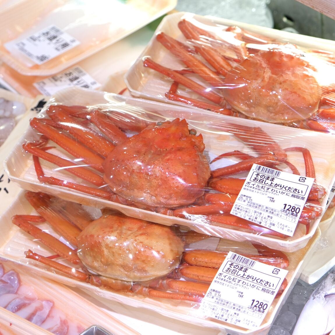 【堺北花田】新鮮な魚や牡蠣が盛りだくさん｜鮮魚売場から_ocHpS8