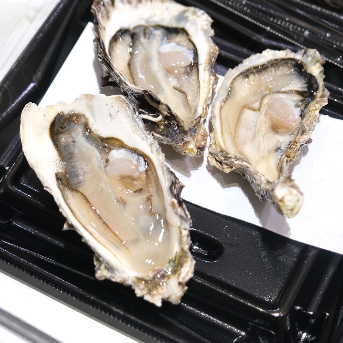 【堺北花田】新鮮な魚や牡蠣が盛りだくさん｜鮮魚売場から_YdO3C1