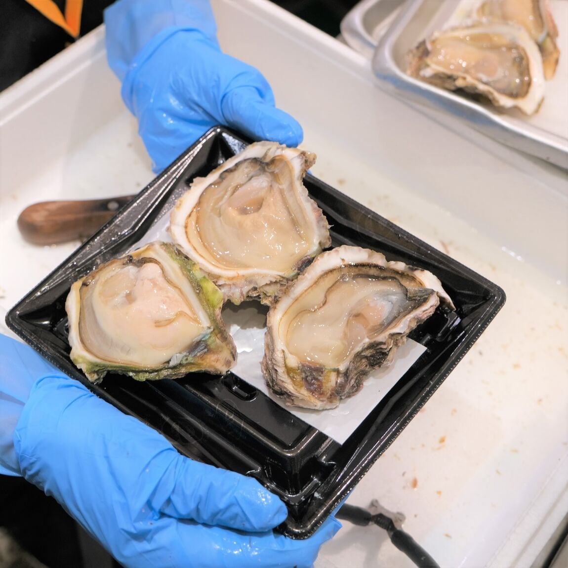 【堺北花田】今日のおすすめは『きめじまぐろ』『岩かき』｜鮮魚売場から