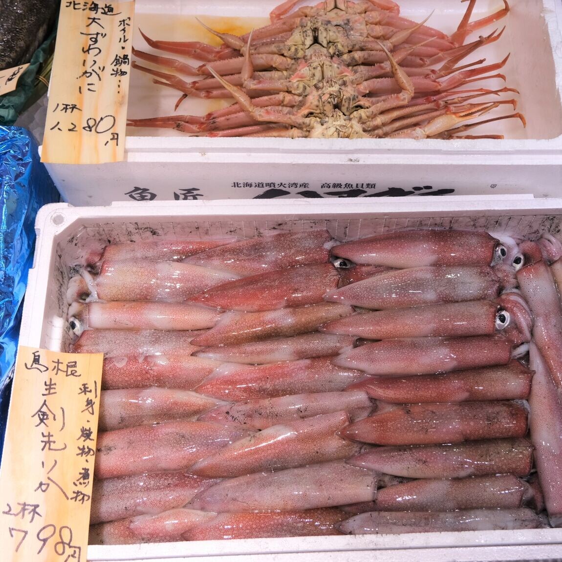 【堺北花田】今日のおすすめは『きめじまぐろ』『岩かき』｜鮮魚売場から