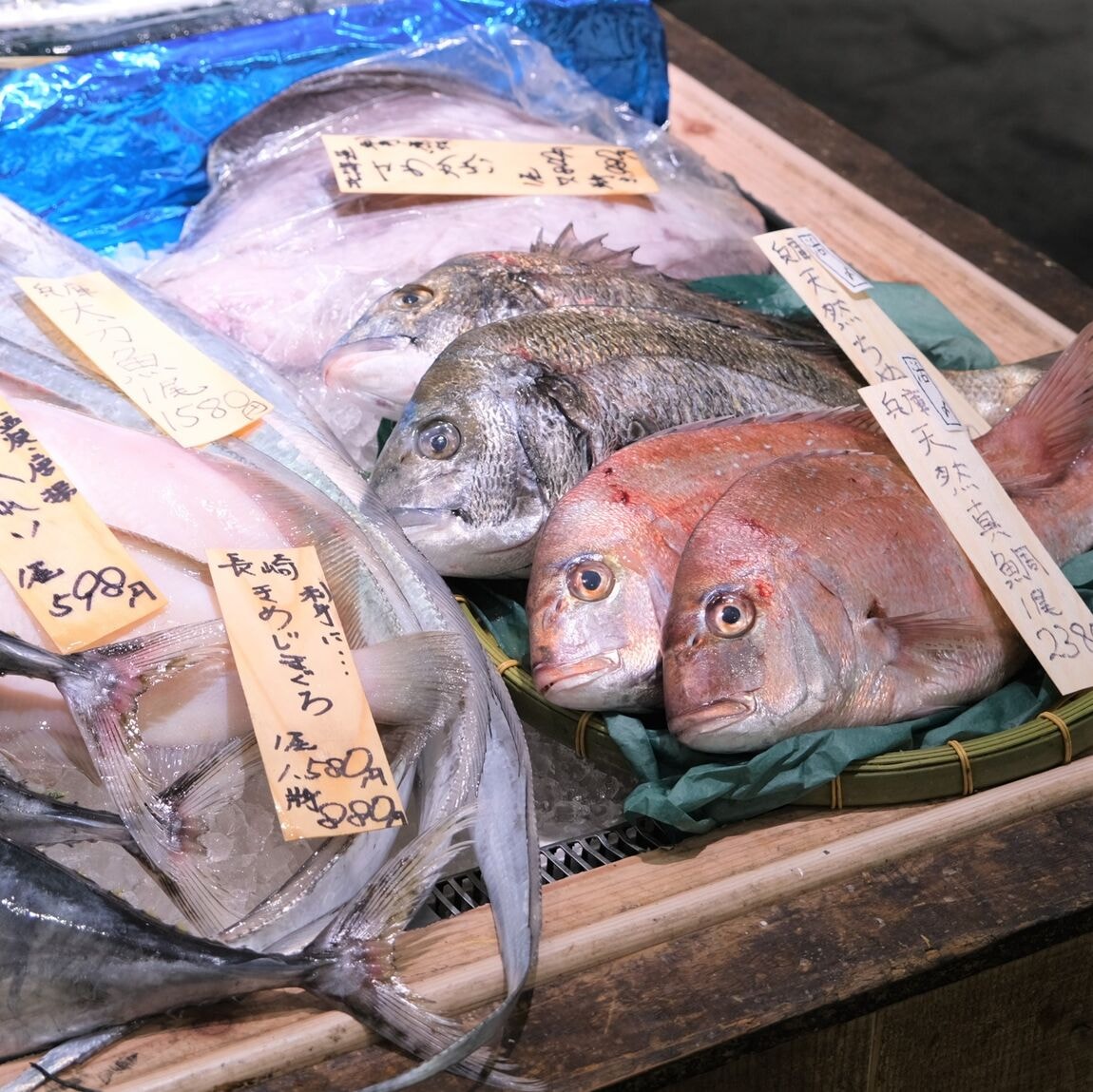 【堺北花田】今日のおすすめは『きめじまぐろ』『岩かき』｜鮮魚売場から