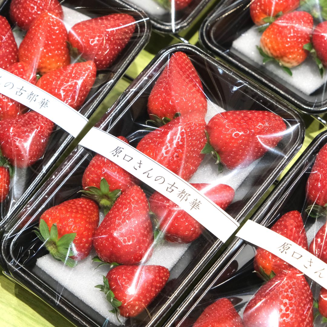 【堺北花田】西村さんの朝堀り竹の子、原口さんの朝採り古都華が入荷しました｜青果売場から