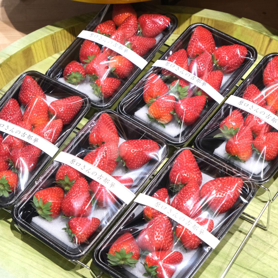 【堺北花田】西村さんの朝堀り竹の子、原口さんの朝採り古都華が入荷しました｜青果売場から