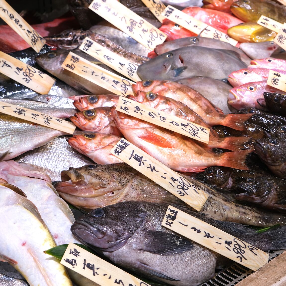 【堺北花田】かなわの殻付牡蠣、販売中です｜鮮魚売場から