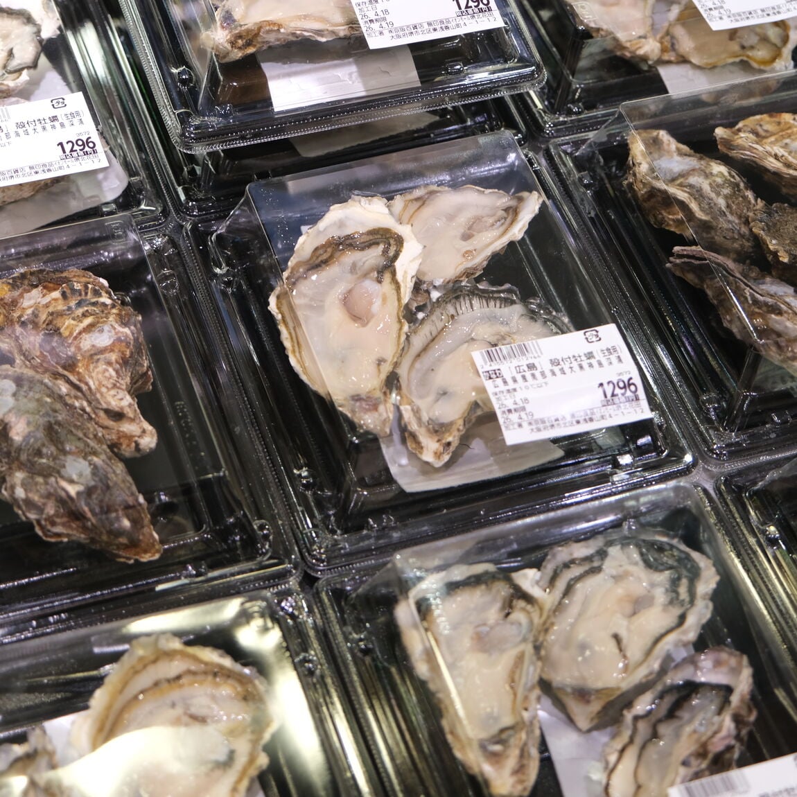【堺北花田】かなわの殻付牡蠣、販売中です｜鮮魚売場から
