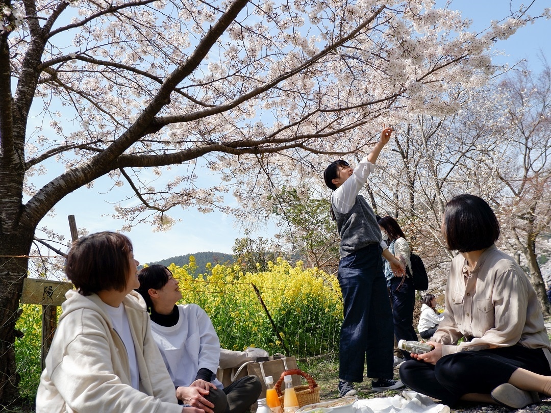 【京都山科】お花見にも春野菜サンドイッチ｜いっしょにつくろう