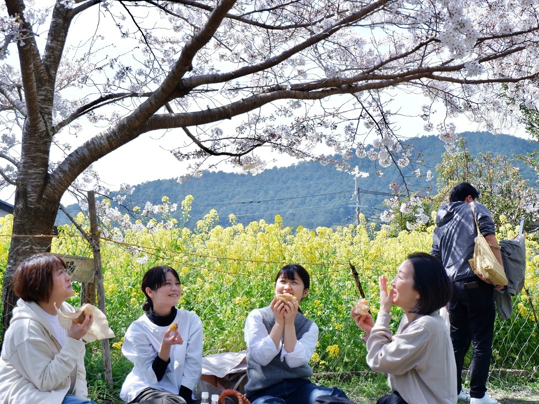 【京都山科】お花見にも春野菜サンドイッチ｜いっしょにつくろう