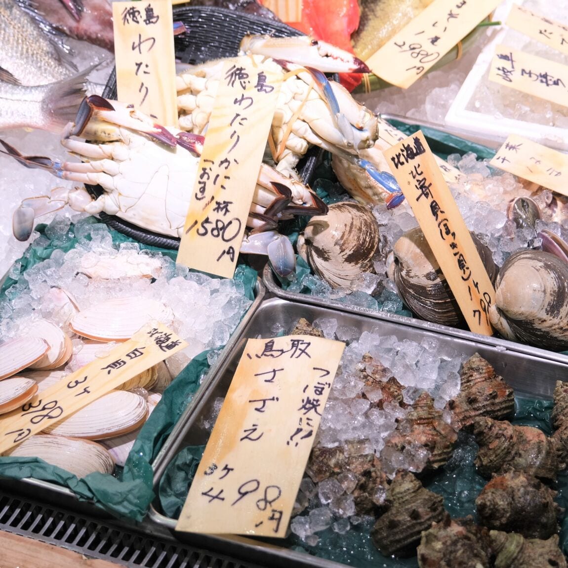 【堺北花田】今日のおすすめは『いとより』『天然ぐれ』｜鮮魚売場から