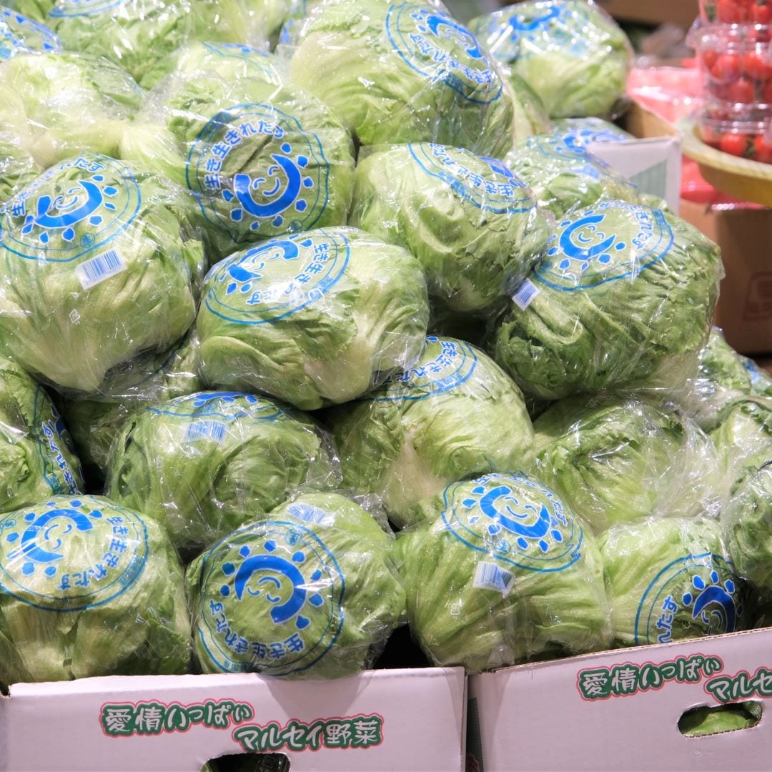 【堺北花田】林田商店さんの市場まつり開催中｜青果売場から