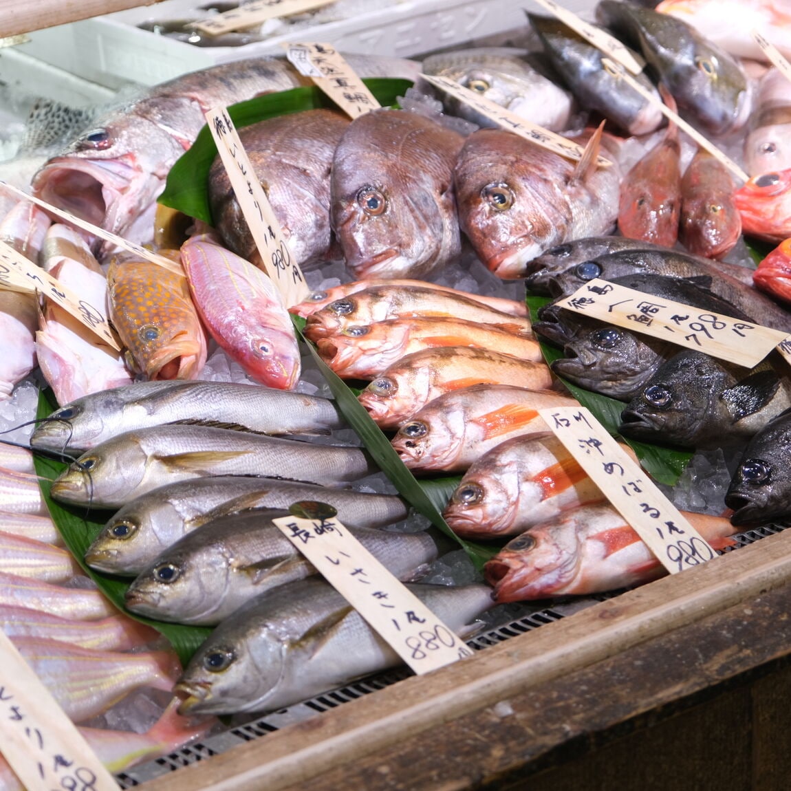 【堺北花田】お店まるごとポイント5倍｜GOOD POINT WEEK開催します