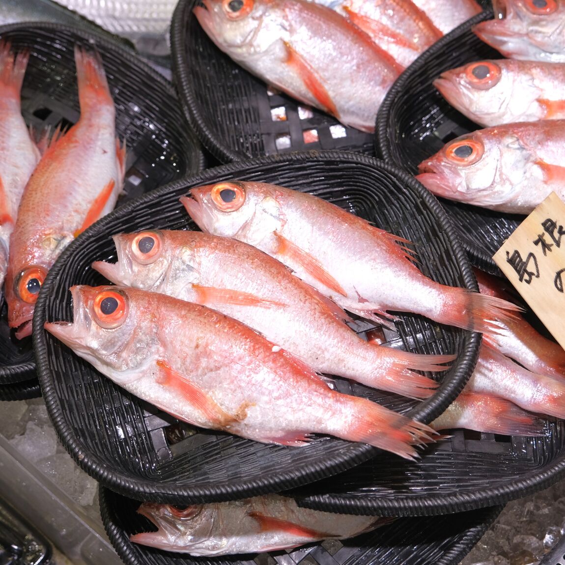 【堺北花田】今日のおすすめは『のどぐろ』お刺身｜鮮魚売場から_b65Scc