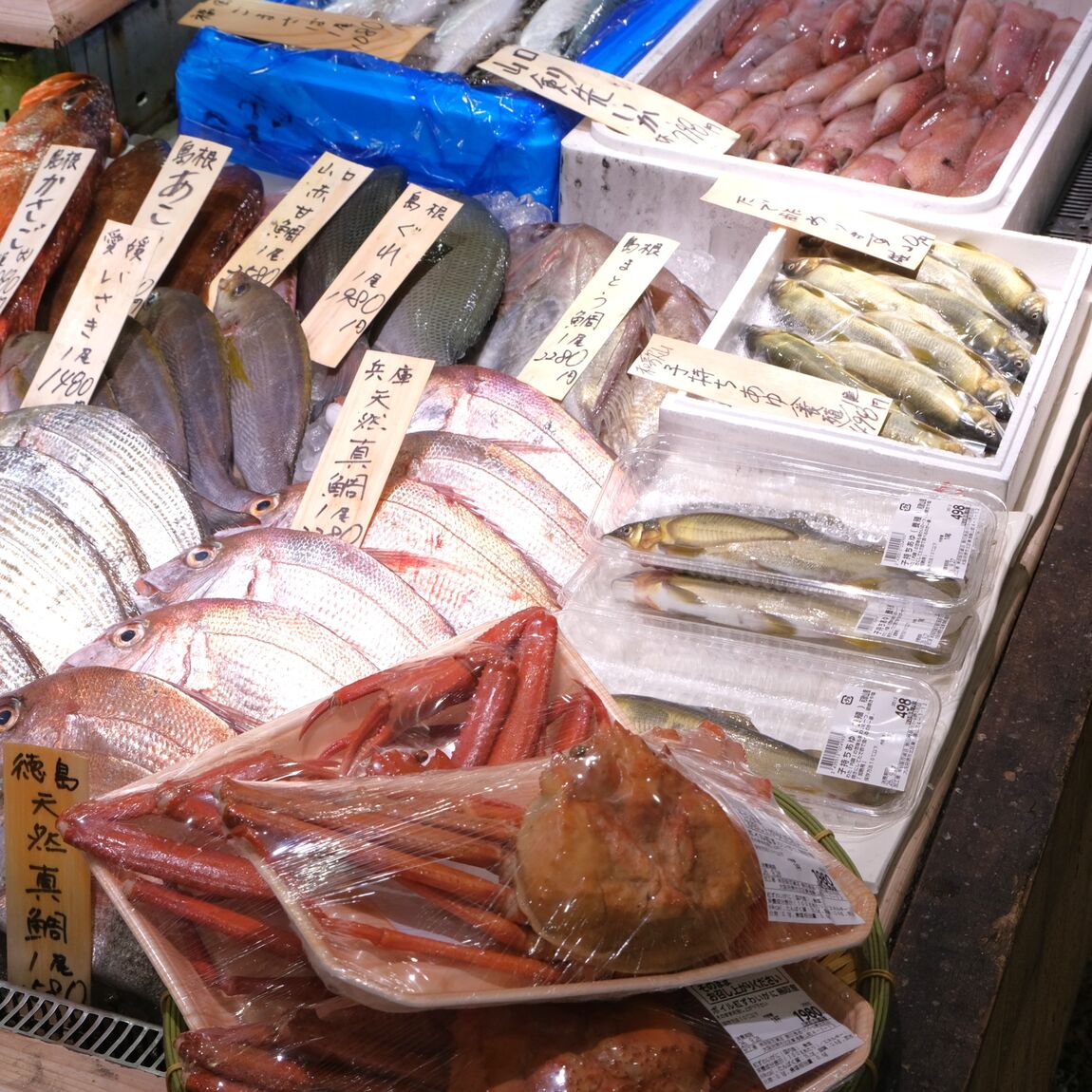 【堺北花田】今日のおすすめは『のどぐろ』お刺身｜鮮魚売場から_UIIg0g