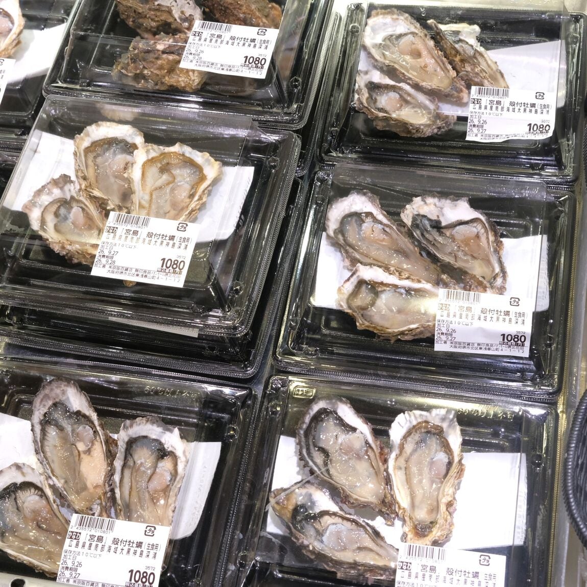 【堺北花田】今日のおすすめは『のどぐろ』お刺身｜鮮魚売場から_QWNOL5