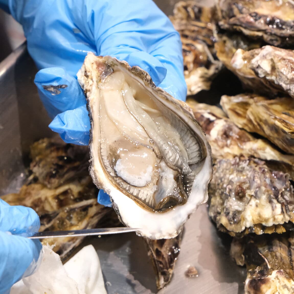 【堺北花田】今日のおすすめは『のどぐろ』お刺身｜鮮魚売場から_f5DfMn