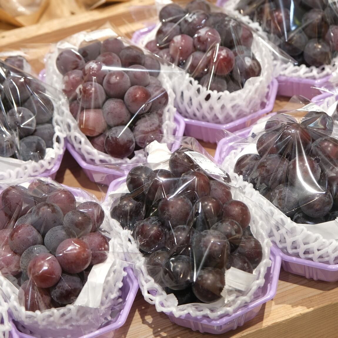 【堺北花田】30日はお客さま感謝デーとまいどおおきにの日_uNB0K6
