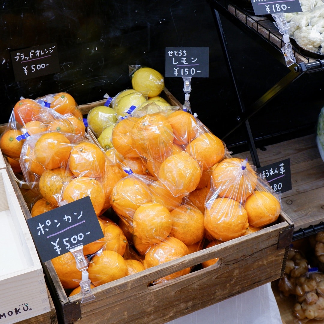 【京都山科】学生さんの元気が声が響いていました｜つながる市レポート