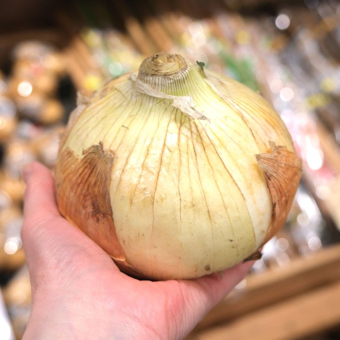 【堺北花田】射手矢さんの泉州たまねぎPREMIUMが入荷しました｜青果売場から