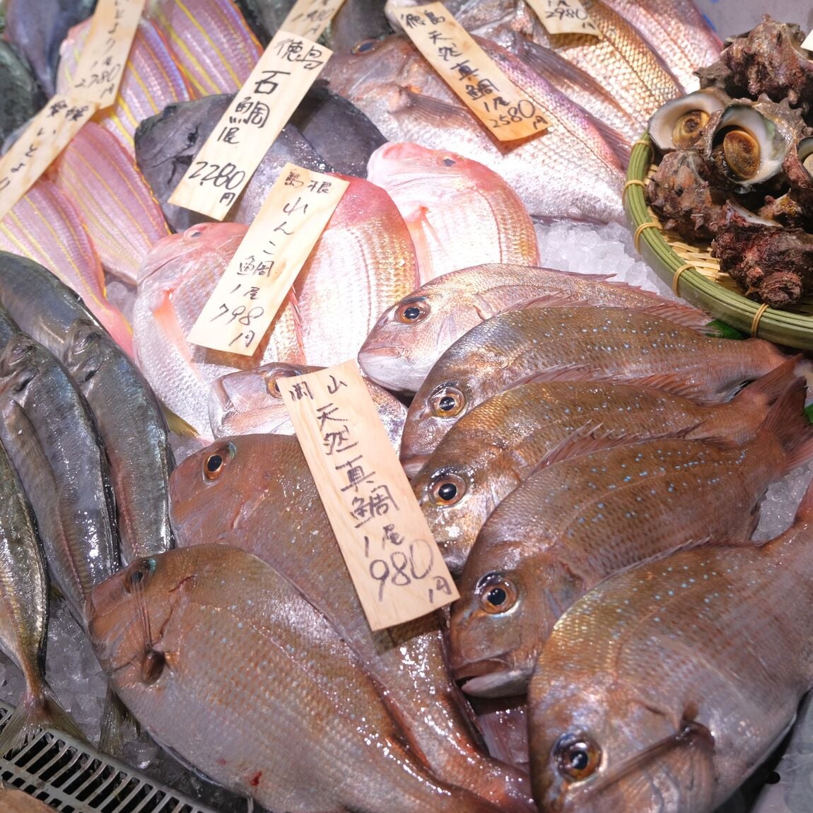 【堺北花田】かなわの殻付牡蠣、販売中です｜鮮魚売場から