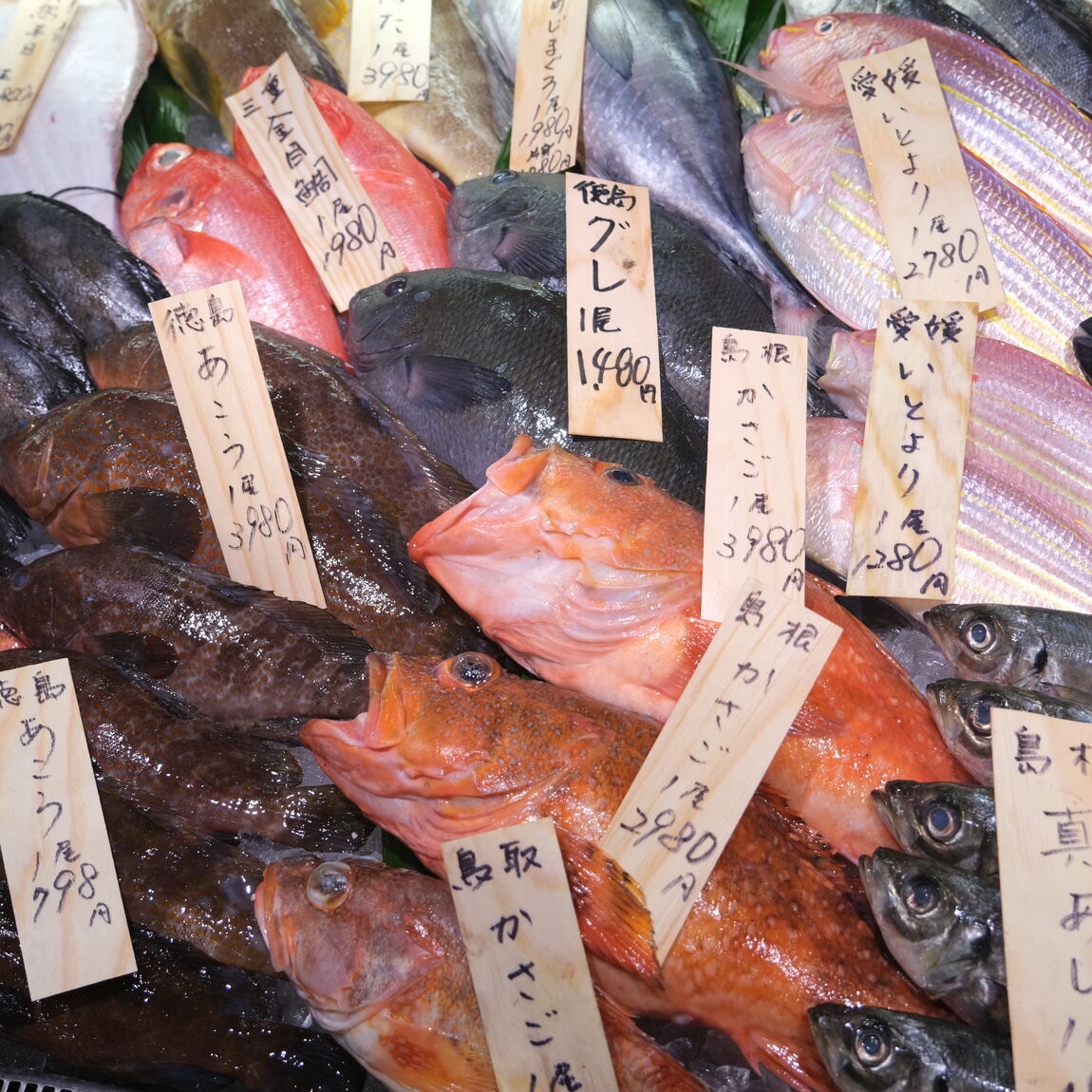 【堺北花田】かなわの殻付牡蠣、販売中です｜鮮魚売場から